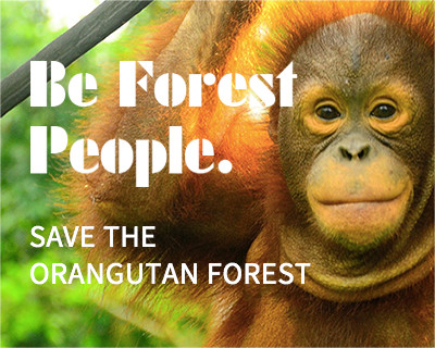 SAVE THE ORANGUTAN FOREST
