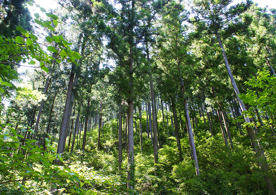 002 高知県 中土佐町