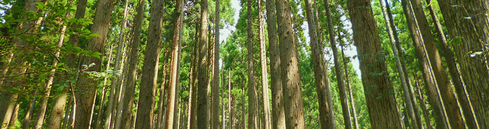 鳥取県 智頭町