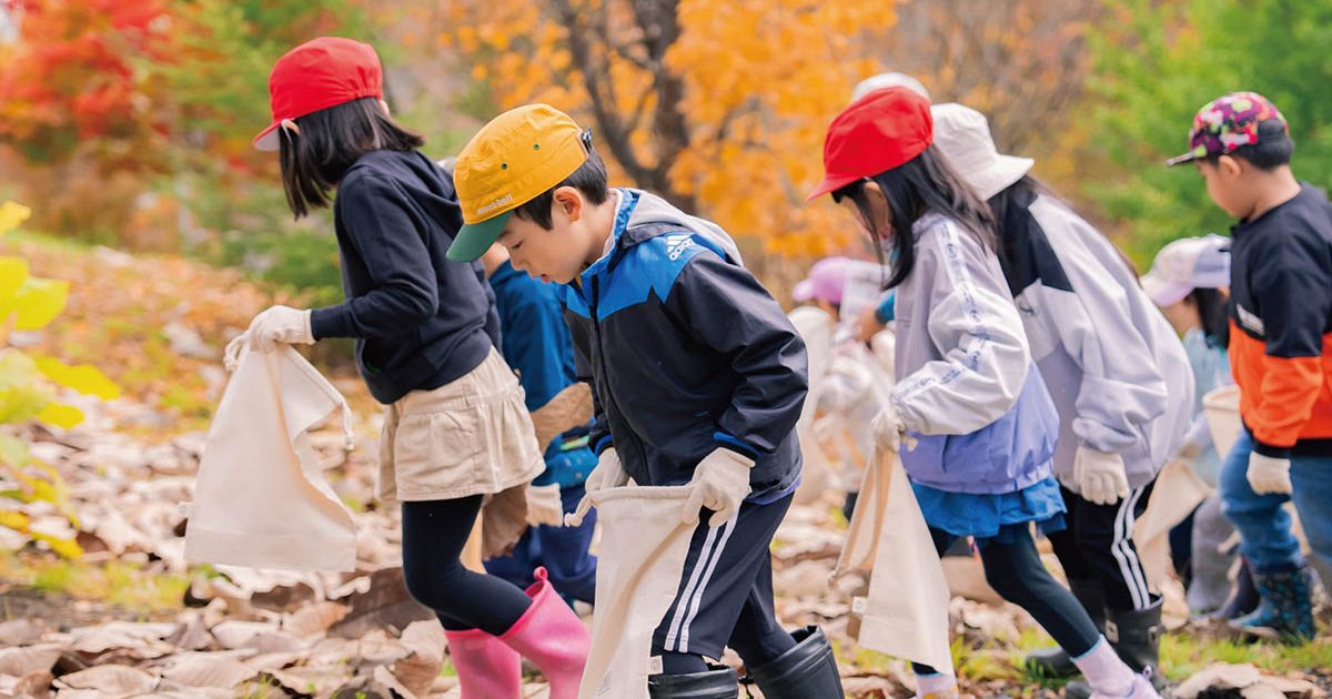 北海道美幌町で種採りイベントおよび森林環境教育を実施しました 一般社団法人more trees