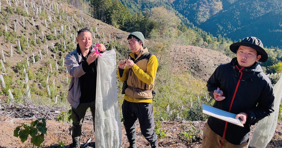 高知県梼原町の植林地で生育調査を実施しました | 一般社団法人more trees