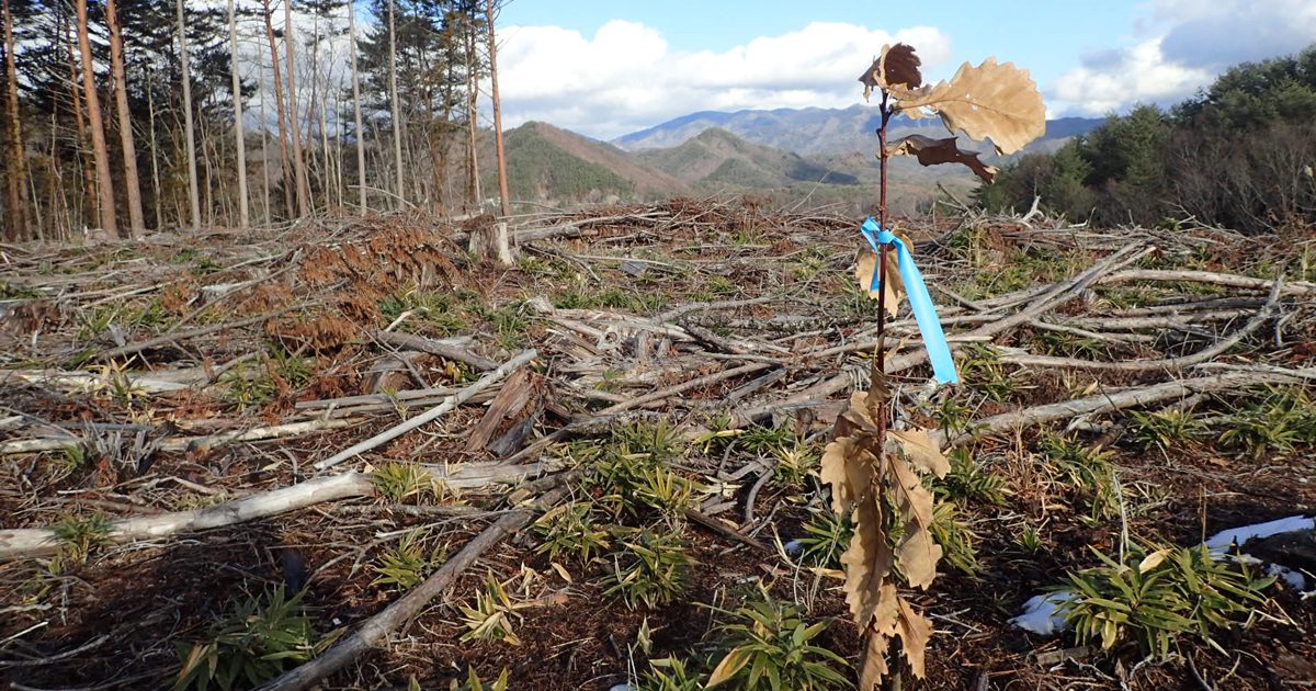 3696cb00e41be882b81a7c19b3f5cd