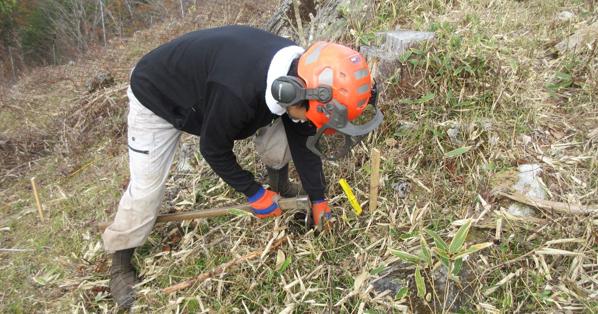 岩手県住田町にて植林を実施しました | 一般社団法人more trees