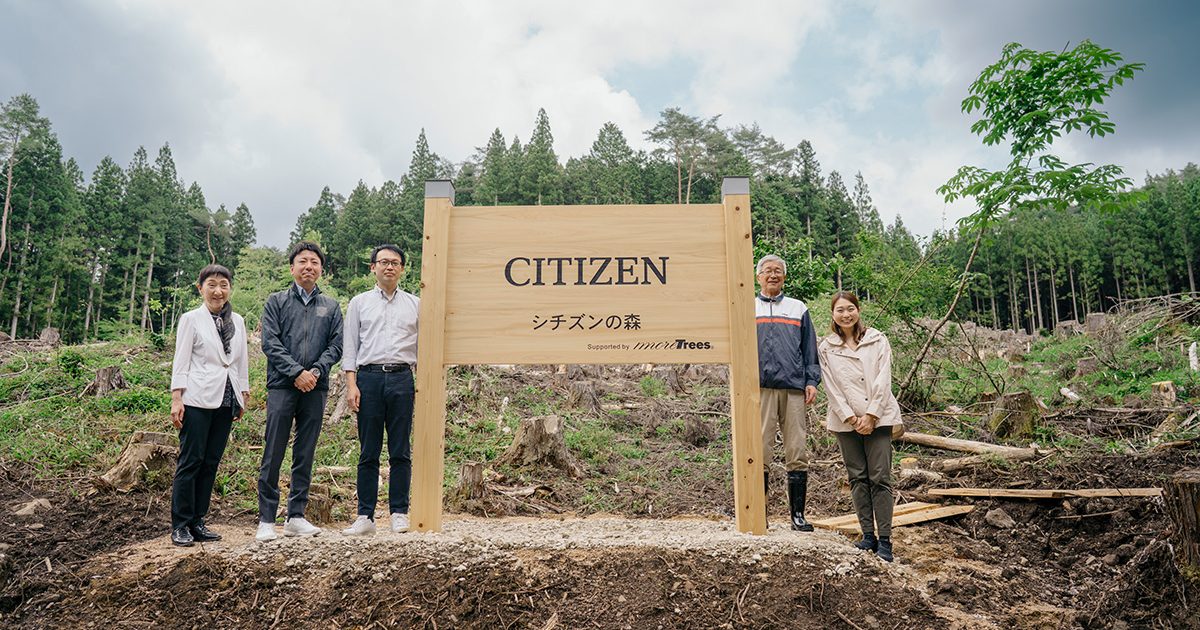長野県根羽村で「シチズンの森」が始動しました | 一般社団法人more trees