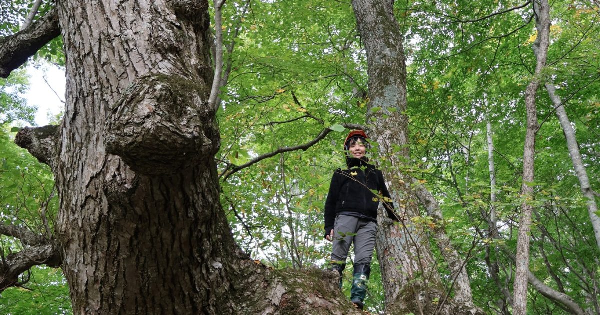 more treesスタッフ、岩手県住田町で2泊3日のワーケーション体験